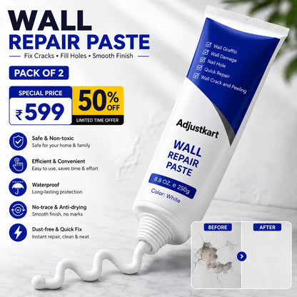 Water Resistant Wall Repair Paste (Pack of 2)