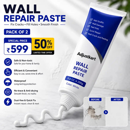 Water Resistant Wall Repair Paste (Pack of 2)